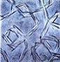 Vegetazione irreale 65 